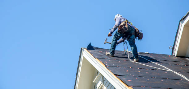 Best Flat Roof Repair Services  in Lford, MI